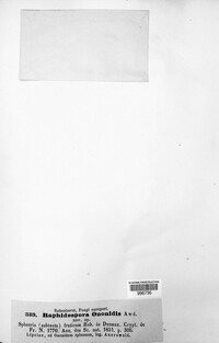 Image Associated With the Occurence
